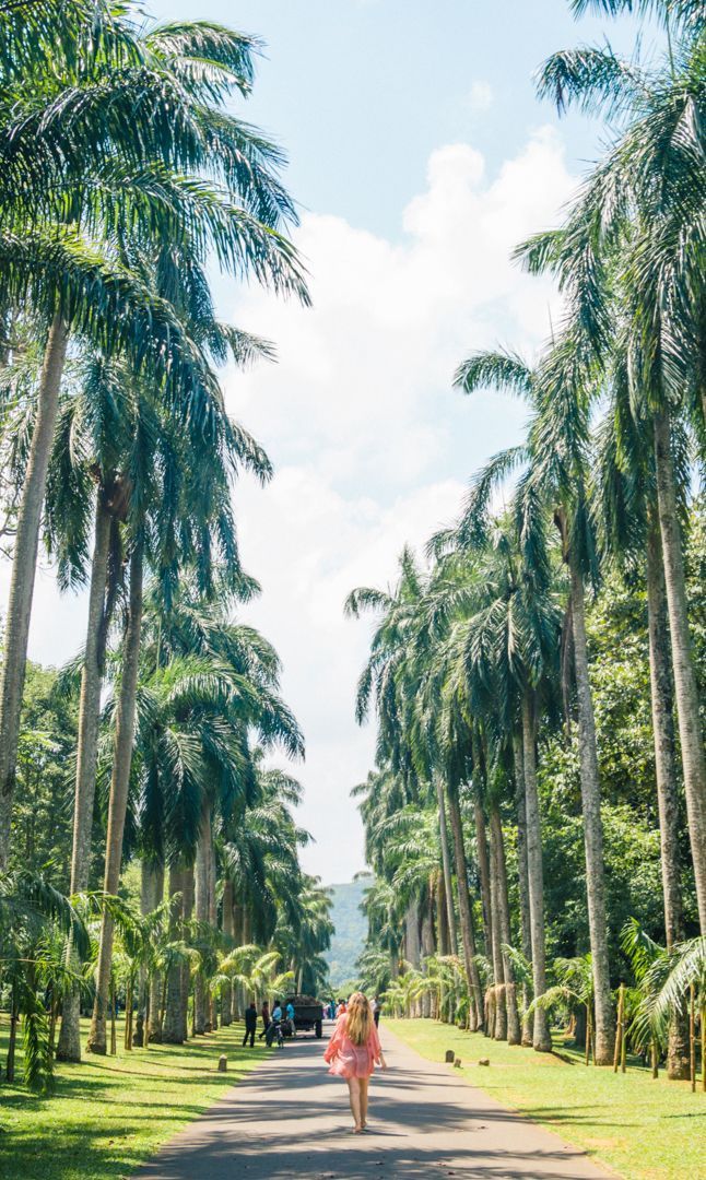 34835803492a8e34dd37f52eadd1b429