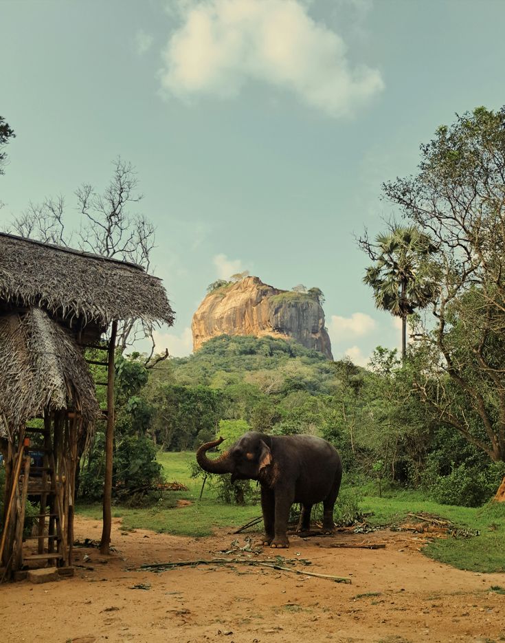 ec4027f422540f19675ade30c4e41e3b