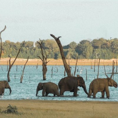 36c3f5a3-f0f8-4208-a911-4b3c405b70bc