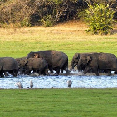 LK60322800-02-E-1280-720