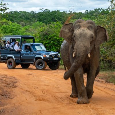 _methode_times_prod_web_bin_50e9e8f5-f1ca-4a08-9b7f-18b15c011582 (4)